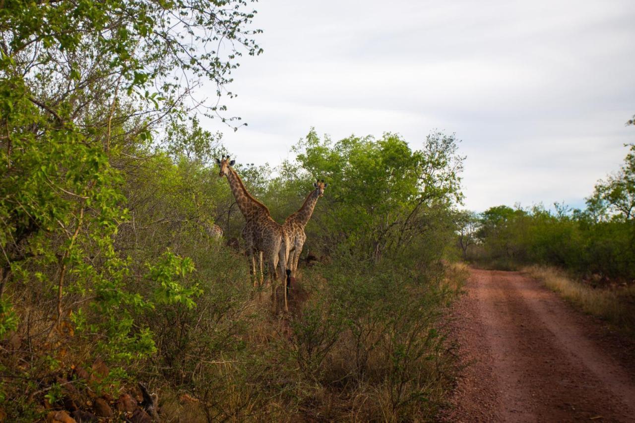 Nungu Game Lodge Lephalale Экстерьер фото